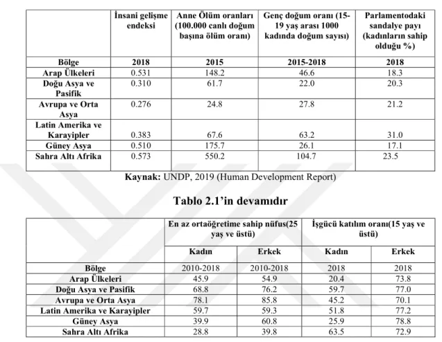Tablo 2.1: Seçilmiş Bölgelerde Cinsiyet Eşitsizliği Endeksi 