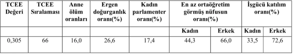 Tablo 2.5: Türkiye'nin Toplumsal Cinsiyet Endeksi (TCEE/ 2018) 