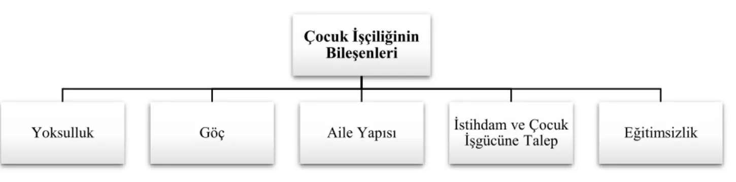 Şekil 1.3 Çocuk İşçiliğinin Bileşenleri 