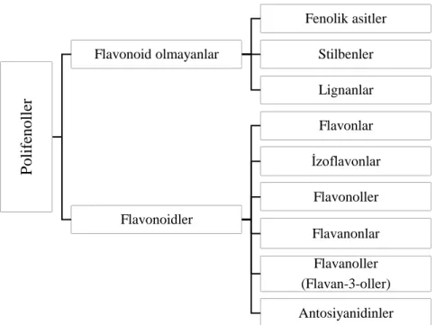 Şekil 2.3. Polifenollerin sınıflandırılması (Goszcz vd. 2017) 
