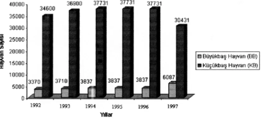 Şekil  1'de  görüleceği  gibi,  1992-96  yılları  arasında  göletten  faydalanan  hayvan  sayılarında  belirgin  bir  artış  görülmesine  rağmen,  1997  yılında  gölet  sayısının  artmasıyla  göletlerden  yararlanan  büyükbaş  hayvanların  sayısında  nispe