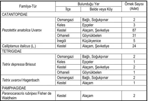 Çizelge III. 