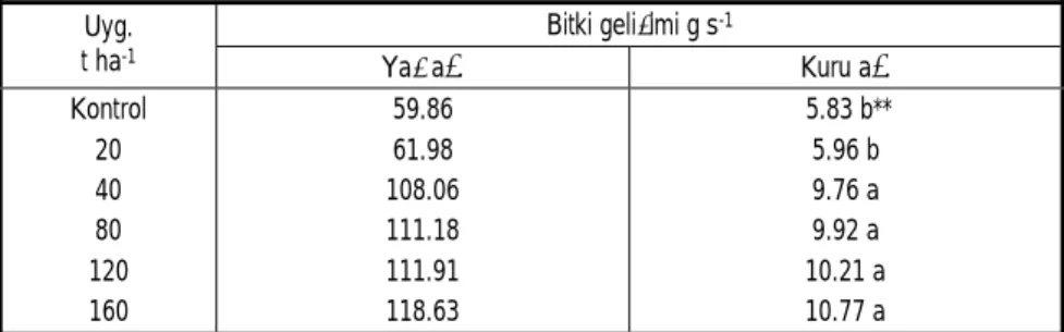 Çizelge IV. 