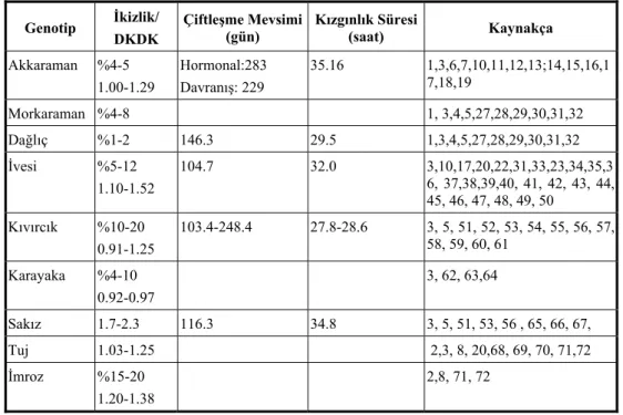 Çizelge 1. Kimi Türkiye koyun ırklarında üreme özellikleri  Genotip  İkizlik/  DKDK  Çiftleşme Mevsimi (gün)  Kızgınlık Süresi(saat)  Kaynakça  Akkaraman %4-5  1.00-1.29  Hormonal:283 Davranış: 229  35.16 1,3,6,7,10,11,12,13;14,15,16,17,18,19  Morkaraman %