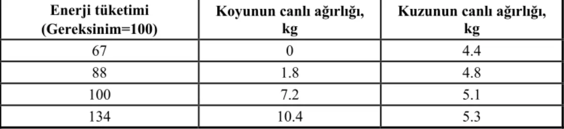 Çizelge 4. Koyunların gebelikte enerji tüketimi ile kuzuların doğum ağırlığı arası ilişkiler  Enerji tüketimi 