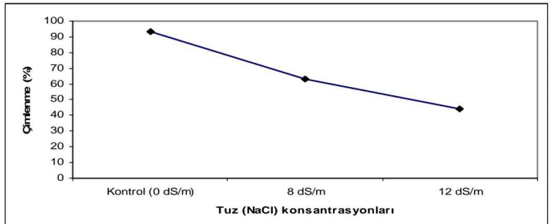Şekil 1. Farklı tuz konsantrasyonları uygulanmış domates genotip tohumlarının   ortalama çimlenme yüzdelerinde meydana gelen değişimler 