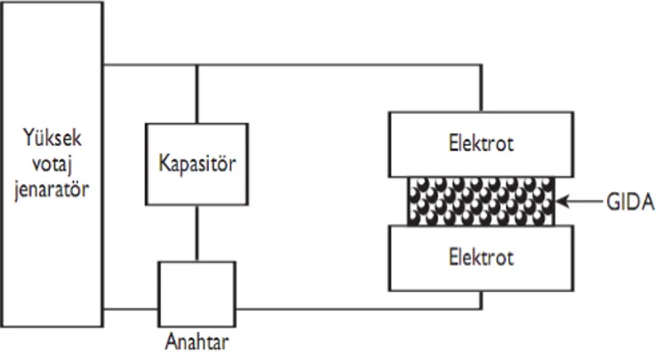 Şekil 3. Vurgulu elekrik alanı (PEF) uygulaması 