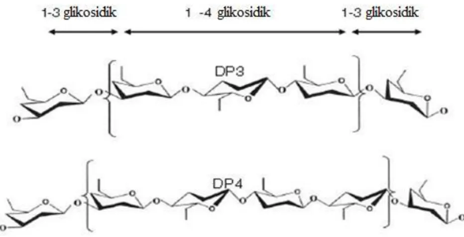Şekil 2. Tahıl bazlı β-glukanın moleküler yapısı (Vasanthan ve Temelli 2008).  