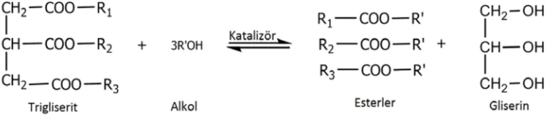 Şekil 1. Transesterifikasyon reaksiyonu 