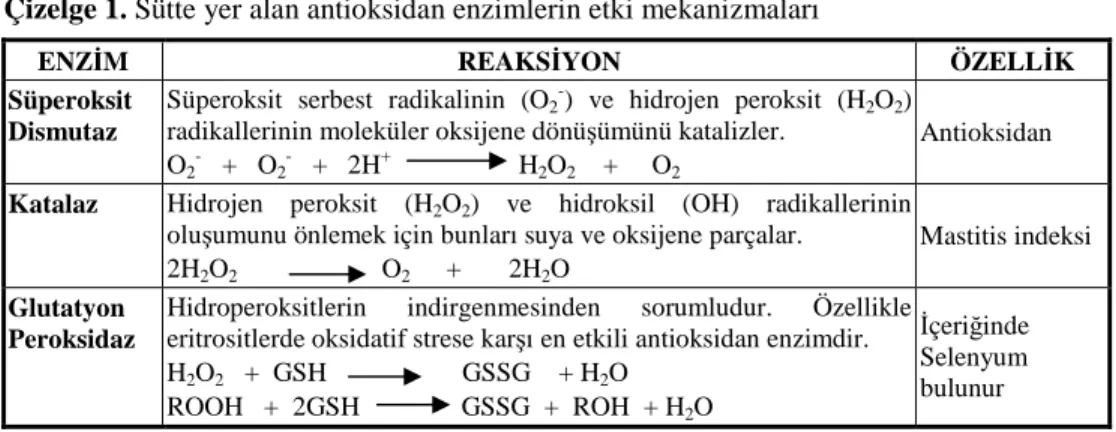 Çizelge 1. Sütte yer alan antioksidan enzimlerin etki mekanizmaları  