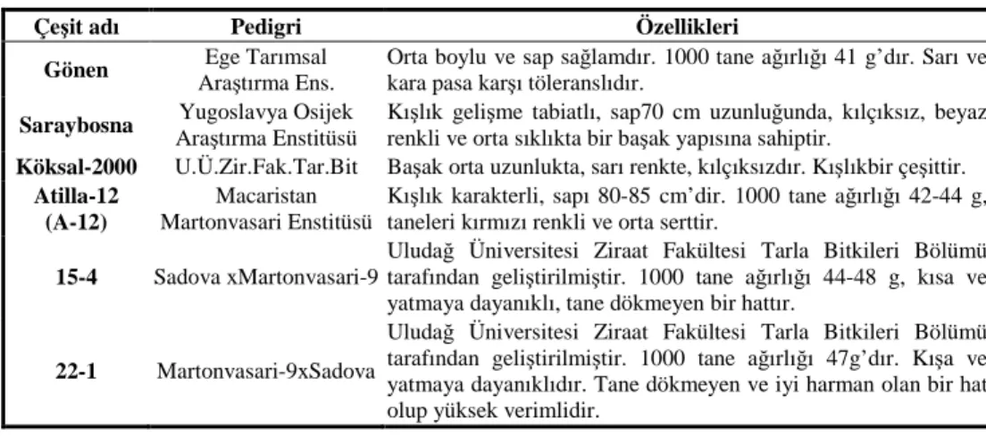 Çizelge 2. Melezleme kombinasyonlarında kullanılan anaçların tarımsal özellikleri  