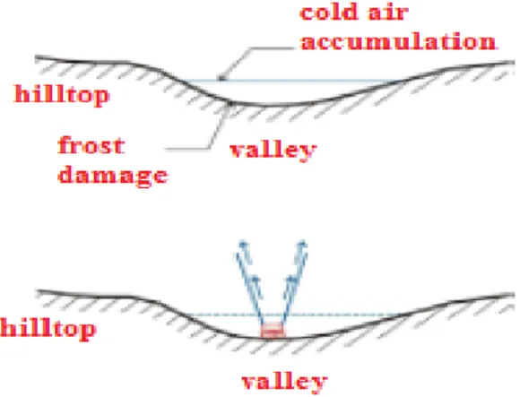 Figure 1. Selective Cold Air Drainage 