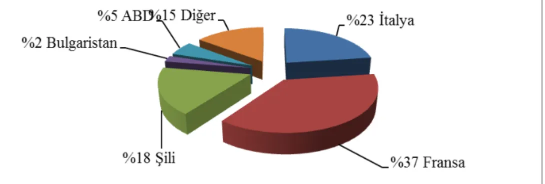 Şekil  9.  2006-2010  Yılları  Ortalamasına  Göre  Türkiye’nin  Şarap  İthalat  Değerinde 