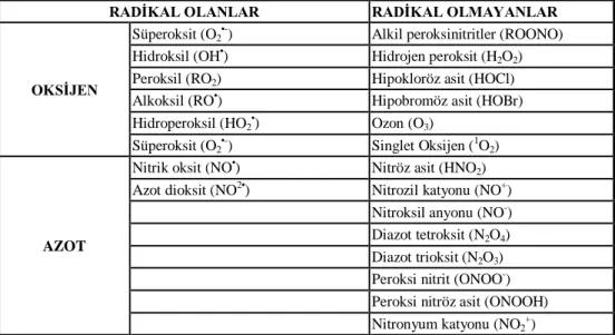 Tablo 2.  Bazı serbest radikal türleri  