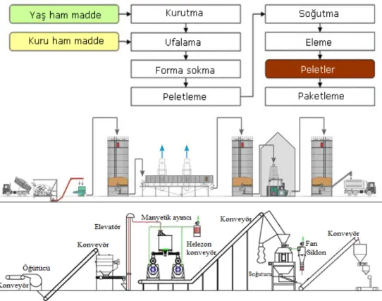 Şekil 3. Biyokütle peletlemede işlem akışı 