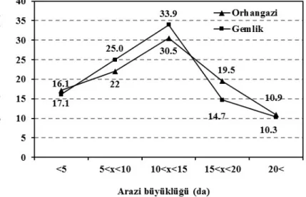 Şekil 1. Zeytin üreticilerinin arazi dağılımı 