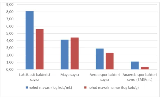 Şekil 6. Nohut mayası ve hamurunda fermantasyonda rol alan mikroflora 