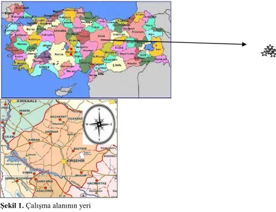 Şekil 1. Çalışma alanının yeri 