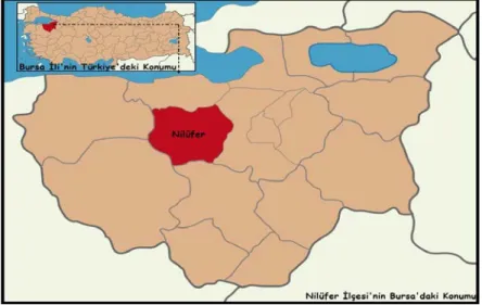 Şekil 1. Çalışma alanının konumu  Yöntem 