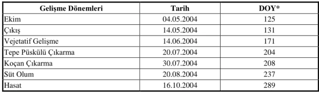 Çizelge 3.  Bitki Gelişme Dönemleri  