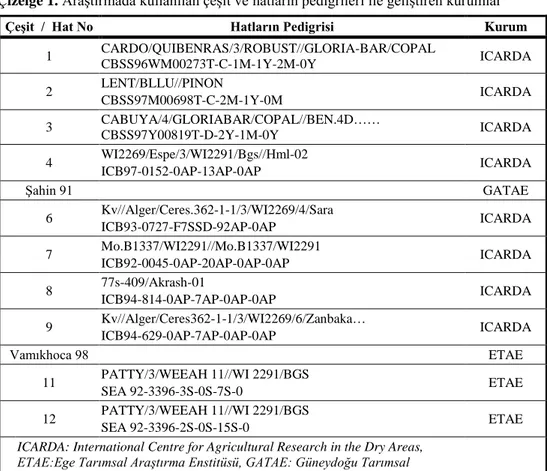 Çizelge 1.  Araştırmada kullanılan çeşit ve hatların pedigrileri ile geliştiren kurumlar  