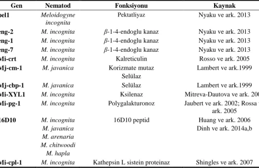 Çizelge 2. Kök- ur nematodu parazitizm genleri ve fonksiyonları (Berg ve Taylor, 2009) 