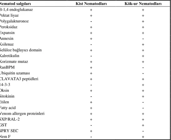 Çizelge 6. Meloidogyne spp., Heterodera ve Globodera  spp. bitki paraziti nematodlarında  tespit edilen efektörler 