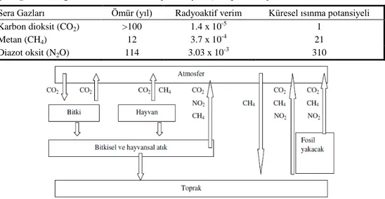 Çizelge 1 . Sera gazının küresel ısınma potansiyeli ( Naqvi ve Sejian, 2011) 