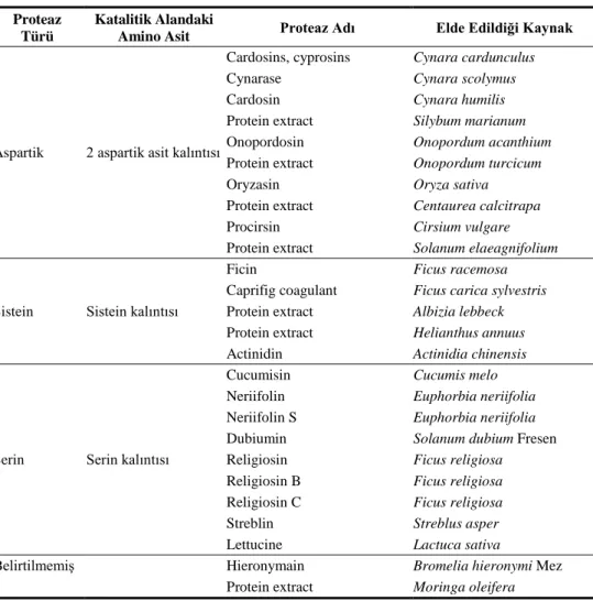 Çizelge 2.  Sütü  pıhtılaştıran  bitkisel  proteazlarının  türleri  ve  kaynakları  (Shah ve ark