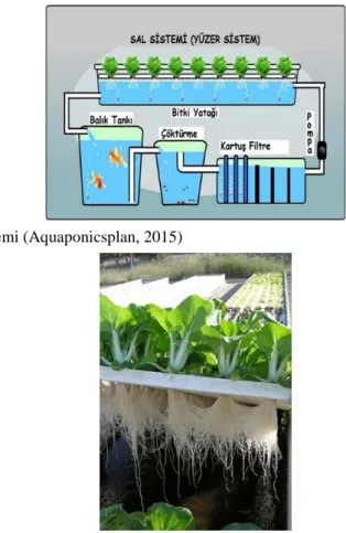 Şekil 4. Sal sistemi (Aquaponicsplan, 2015) 