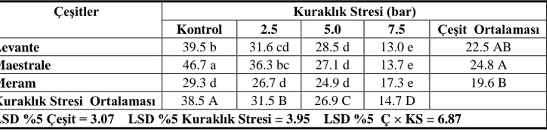 Çizelge 11.  Farklı kuraklık stresi seviyelerinde makarnalık buğday çeşitlerine ait ortalama  kök kuru ağırlığı değerleri (mg) 