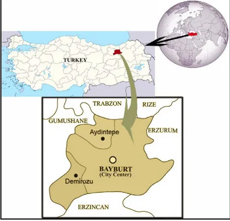 Figure 2. The location map of the study area 