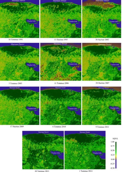 Şekil 2. Çalışma alanına ait NDVI haritaları 