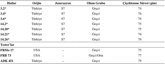 Çizelge 1.  Denemedeki mısır hat ve tester’larının özellikleri 