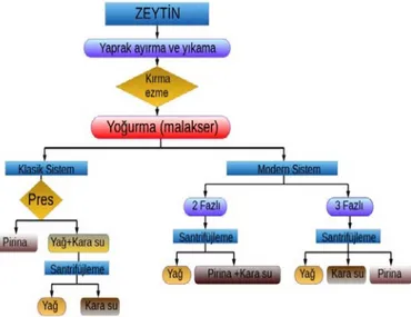 Şekil 1. Zeytinyağı üretim yöntemleri (Karaca ve ark., 2015) 