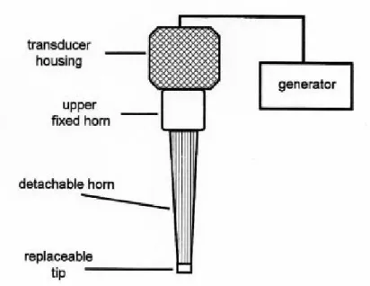 Figure 1. Schematic representation of ultrasonic probe (Mason, 1998) 