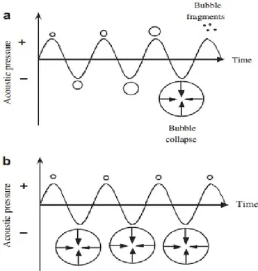 Figure 2. Transient (a) and stable (b) cavitation (Ashokkumar et al., 2010) 