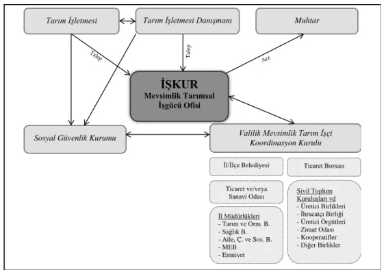 Şekil 1. Türkiye İçin Önerilen Mevsimlik Tarım İşçiliği Yönetim Modeli 