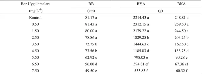 Çizelge 1.  Sulama suyu bor konsantrasyonlarının, bitki boyu (BB), bitki yaş (BYA) ve kuru ağırlıkları (BKA)  üzerine etkisi  