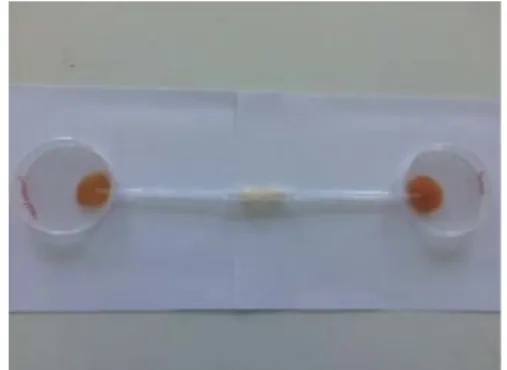 Şekil 2: Kaçırıcılık testlerinde kullanılan düzenek 