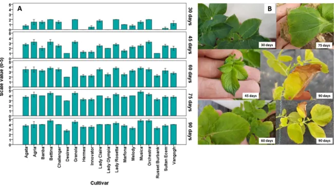 Figure 1. Distribution of the injured plants to injury degrees due to 5 dS m -1  NaCl application (Panel A)