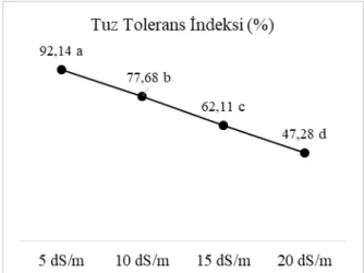 Şekil 4. Farklı tuz konsantrasyonlarında kamışsı yumakta ortalama tuz tolerans indeksi