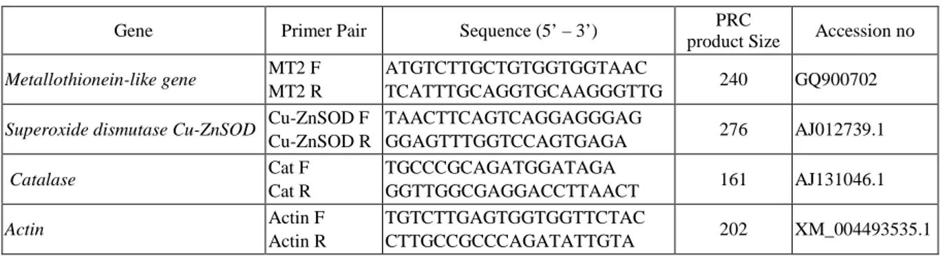 Table 1. Primer sequences for PCR amplification and product sizes 