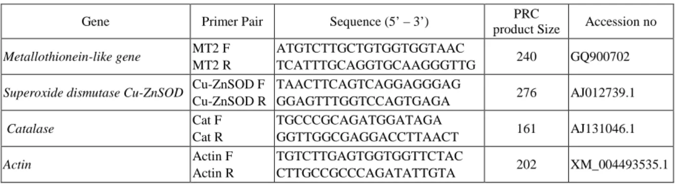 Table 1. Primer sequences for PCR amplification and product sizes 