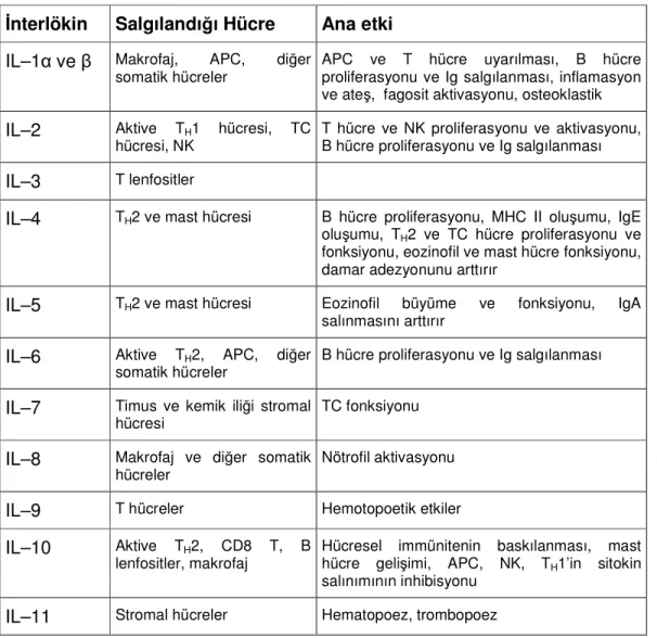 Tablo 3. İnterlökinlerin Etkileri 