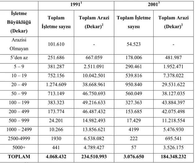 Tablo 8: Đşletme Büyüklüğüne Göre Đşletme Sayısı ve Đşletmenin Tasarrufunda  Bulunan Arazi Büyüklüğü 