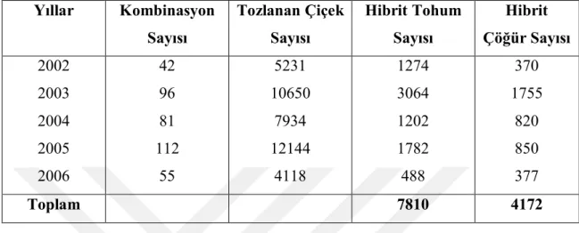 Çizelge 2.1. Tozlama sonrası elde edilen hibrit tohum ve çöğür sayıları (2002 – 2006) 