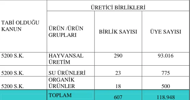 Çizelge 5: Ülkemizde Ürün Bazında Kurulmuş Bulunan Üretici Birlikleri 