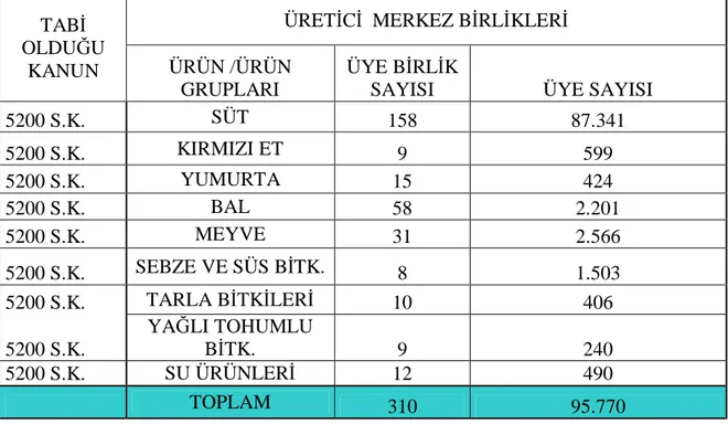 Çizelge 6 : Kurulmuş Olan Bu Birliklerin Merkez Birliği Olarak Örgütlenme  Durumu 