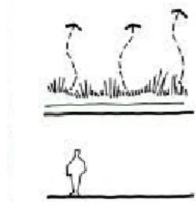 Şekil 8.  Isı Oluşumunu Engelleyerek Isı Yalıtımı Sağlayan Yeşil Çatılar   (Beaver, 2009: 38)